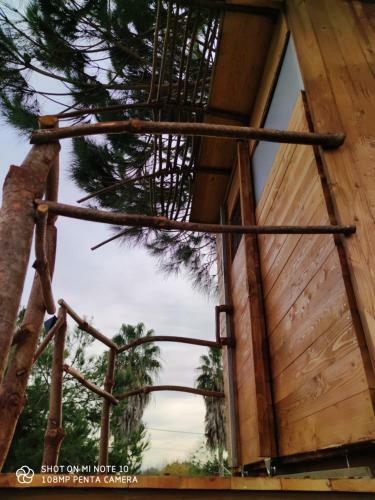 Cuckoo's Nest Tree House