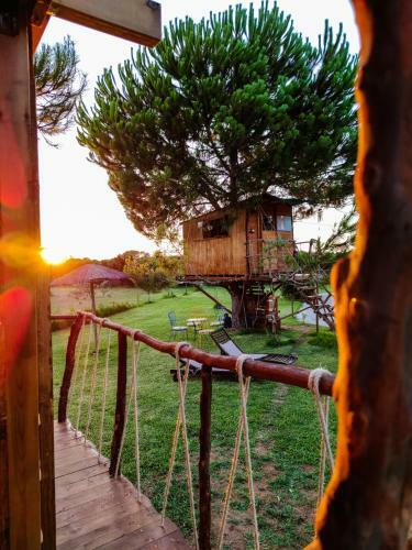 Cuckoo's Nest Tree House