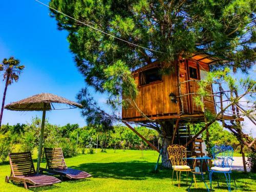 Cuckoo's Nest Tree House