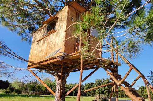 Cuckoo's Nest Tree House