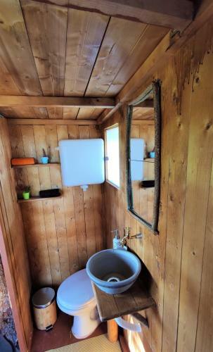 Cuckoo's Nest Tree House