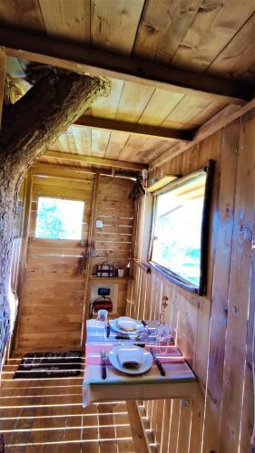 Cuckoo's Nest Tree House