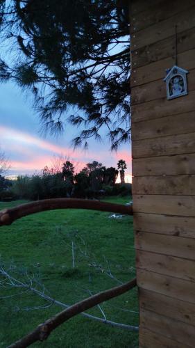 Cuckoo's Nest Tree House