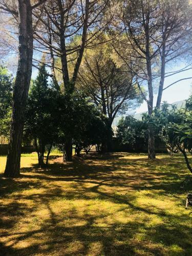 Apartamento La Casa Di Lulu?
