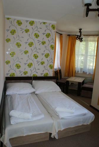 Bed & Breakfast Pensjonat Pod Lwem