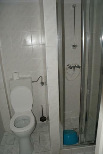Bed & Breakfast Pensjonat Pod Lwem
