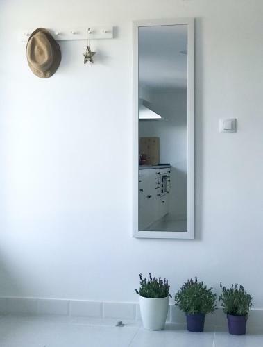 Nuevo Apartamento Fazouro