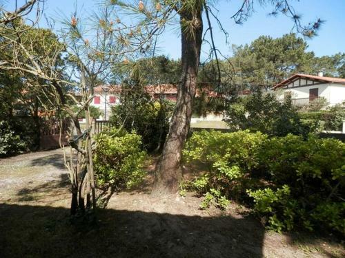 Maison Capbreton, 3 Pi�ces, 5 Personnes - Fr-1-413-120