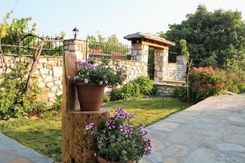Vasilis House