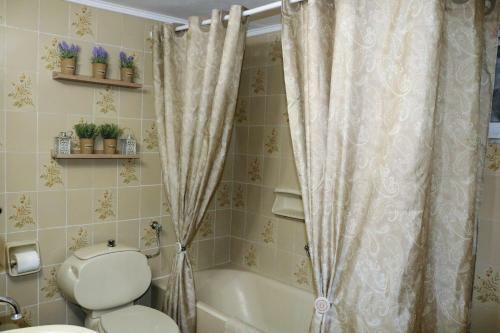 Vasilis House