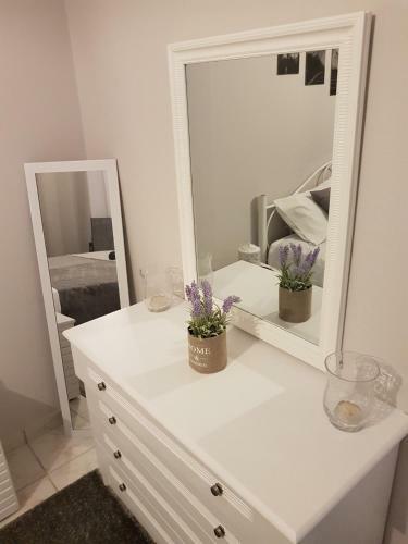 Fiona's Apartment