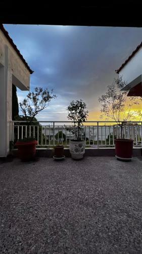Garden House 2 Poseidon