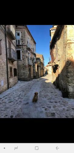 Casetta Vacanza Drapia