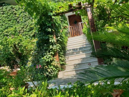 Apartamento Allou Garden House