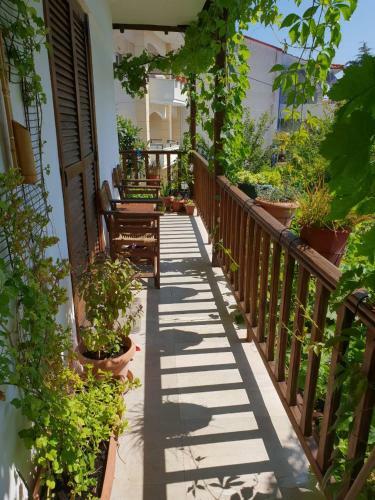Apartamento Allou Garden House