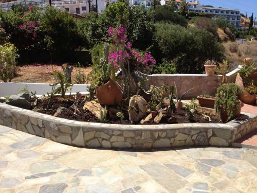 Villa Sopasina - Traditional Apartment