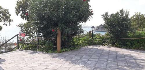 Villa Mira Bed And Breakfast