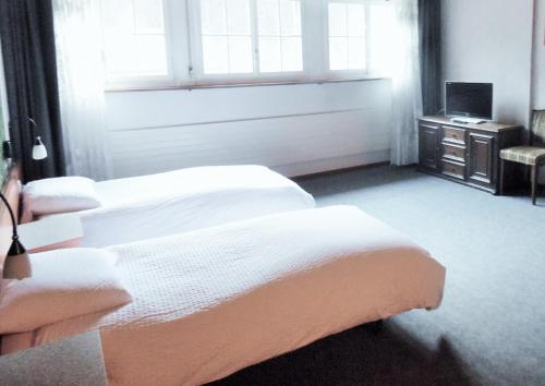 Posada H�tel La Truite