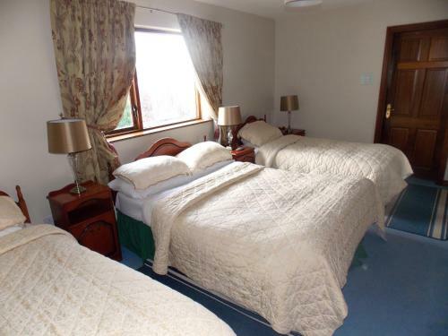 Hostal Ashford Manor Guesthouse