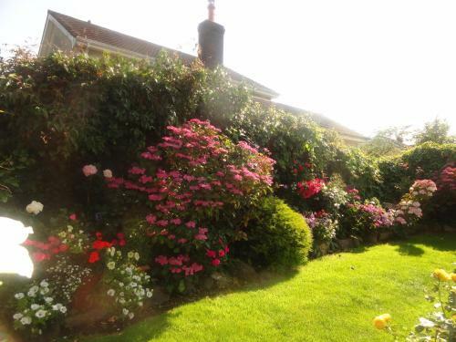 Orley House B&B