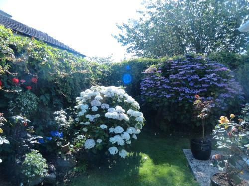 Orley House B&B