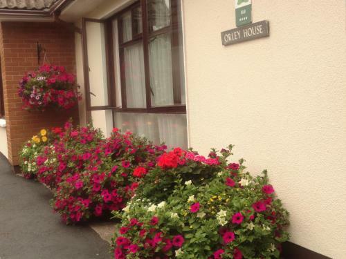 Orley House B&B