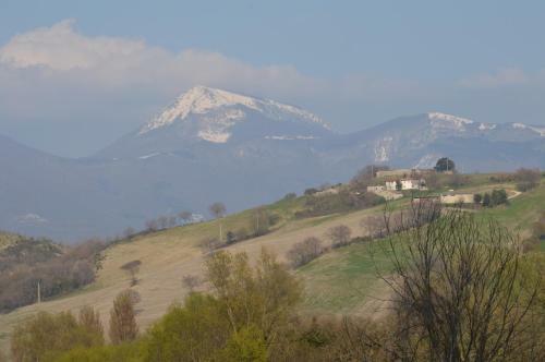 La Palombaia