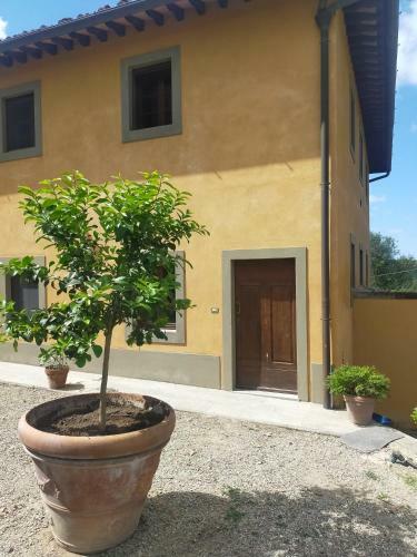 Apartamento The Sycamore House