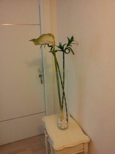 Apartamento Antico Cortile Favignana