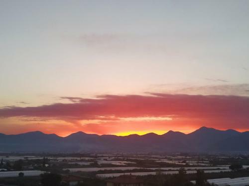 Apartamento Appartamento In Collina