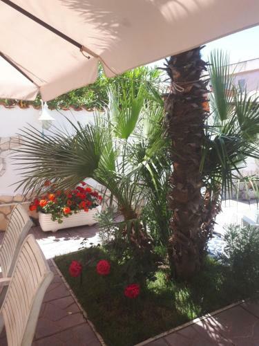 Apartamento Domus Claudio Garden - Monolocale Con Giardino E Vasca Idromassaggio