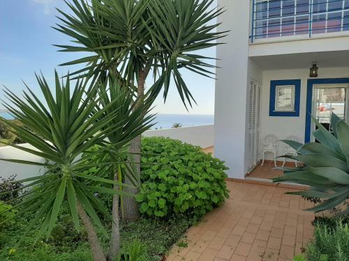 Blue Ocean Villa