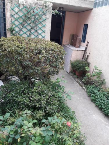 Houri's Apartment