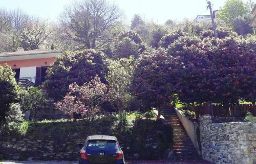Marias Cozy House