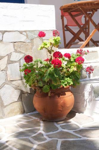 Apartamento Pyrgis Studios
