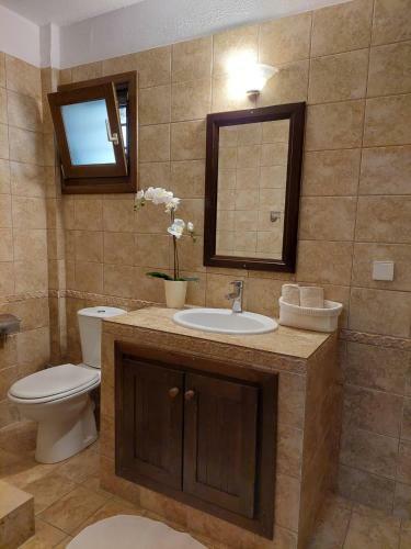 Apartamento Elpida Stone House