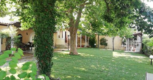 Platamon Village House