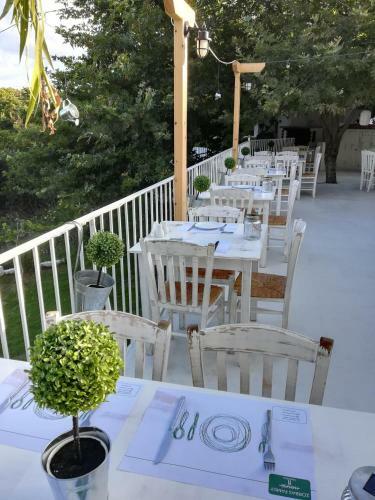 Hotel Zorbas Family House