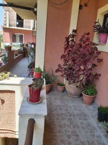 Eugenia Apartment