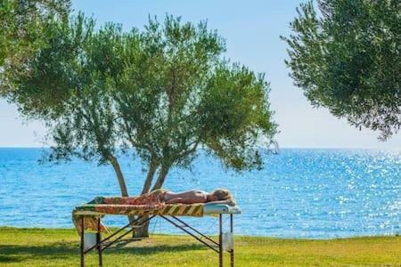 Summer Villa Anemi-close To Sea