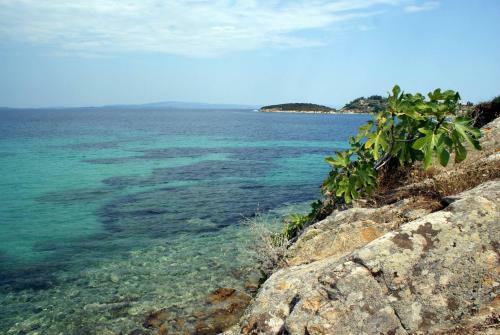 Apartamento Ktima Argiri