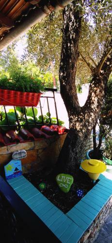 Hotel Apartments Erato
