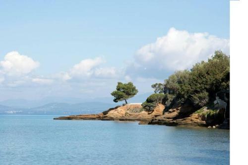 Oliviera Villa