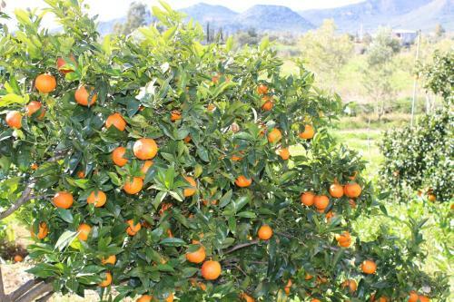 B&B Le Querce