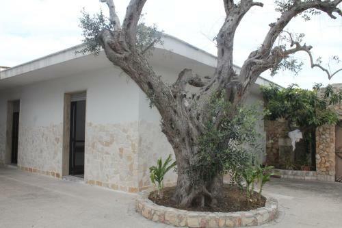 Villa Baja Verde
