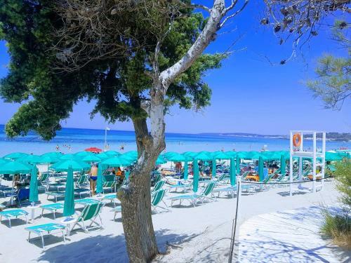 Hostal Affittacamere Lido Rivabella