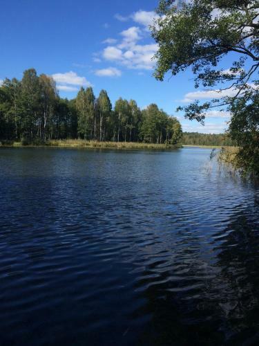 Przytulisko Na Mazurach