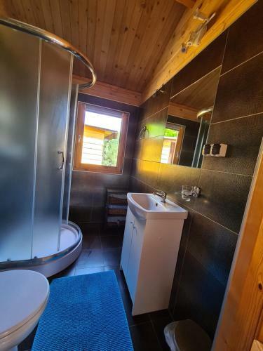 Lodge Domki Go?ciniak