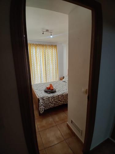Habitaci�n Privada Marina Botafoch 2