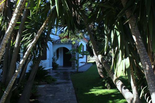 Bed & Breakfast Los Flamingos